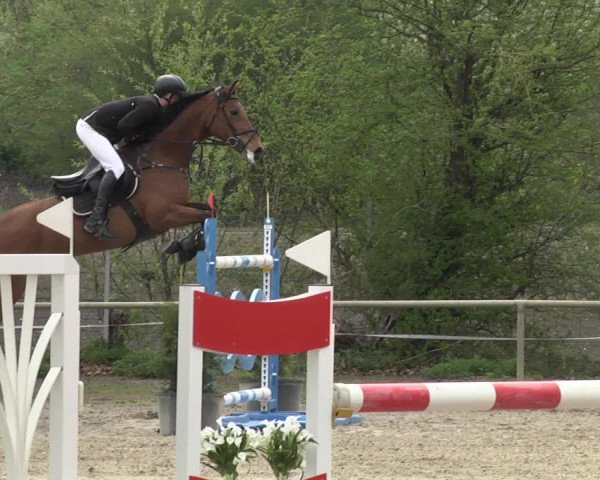 Reitturnier Lampertheim 2021