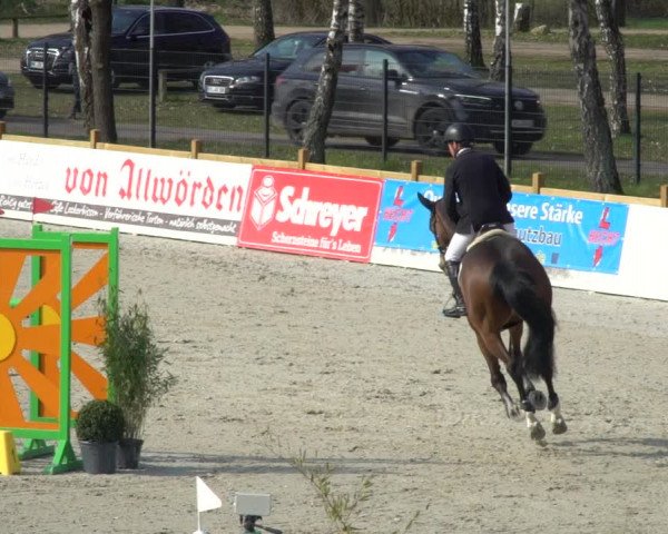 FEI Reitturnier Westergellersen (GER) 2021