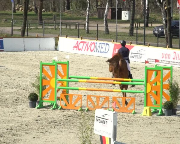 FEI Reitturnier Westergellersen (GER) 2021