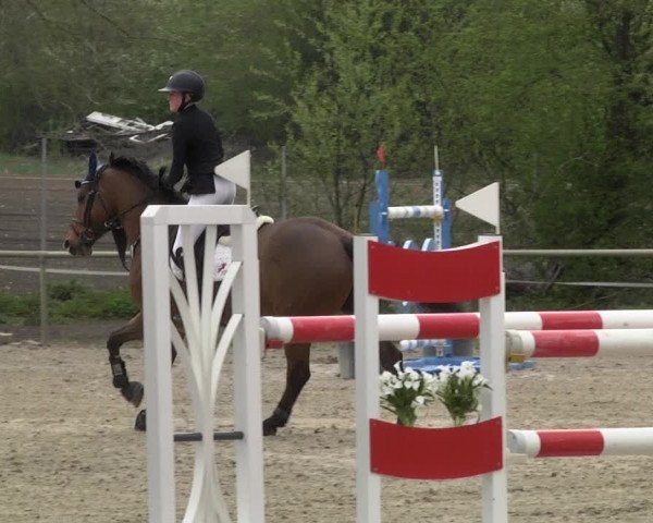 Reitturnier Lampertheim 2021
