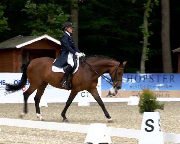 Dressurpferd Fabelhafte 3 (Oldenburger, 2006, von Florencio I)