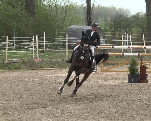 Reitturnier Lampertheim 2021