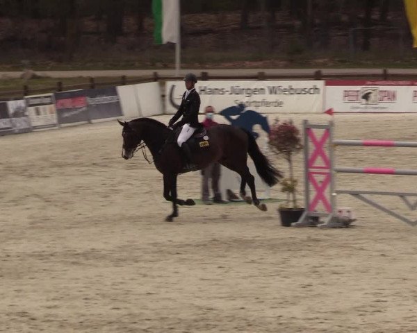 FEI Reitturnier Westergellersen (GER) 2021