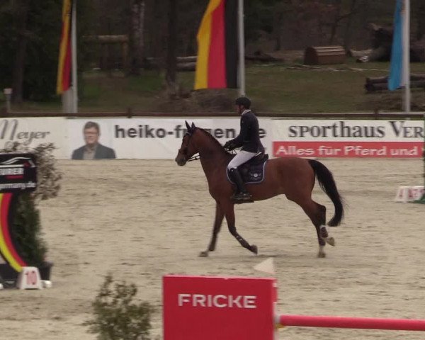 FEI Reitturnier Westergellersen (GER) 2021
