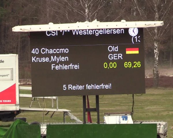 FEI Reitturnier Westergellersen (GER) 2021