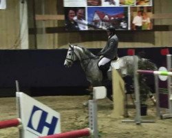 jumper Cassiano 7 (Holsteiner, 2007, from Carlos DZ)