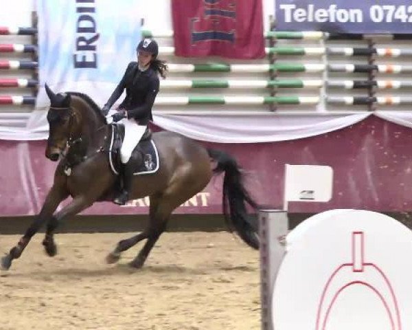 jumper Freixenet 56 (Hanoverian, 2003, from Federweisser)