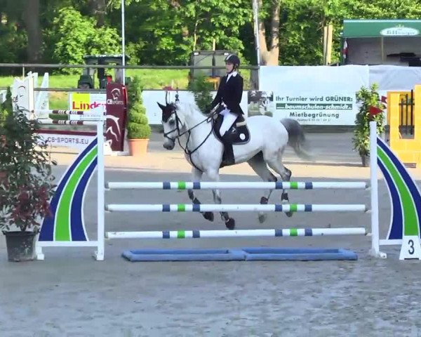 jumper Carlotta H 2 (Rhinelander, 2006, from Carolus II) jumper Carlotta H 2 (Rhinelander, 2006, from Carolus II)
