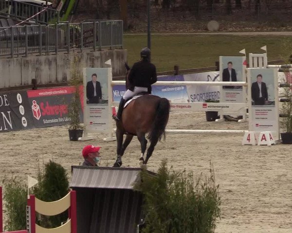 FEI Reitturnier Westergellersen (GER) 2021