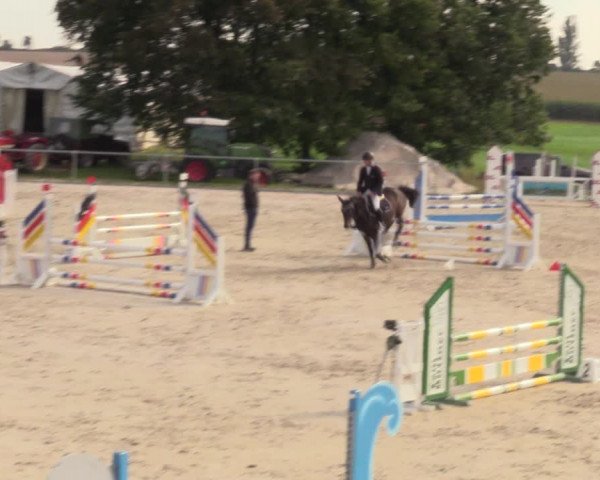 Springreitturnier Hohburg 2021