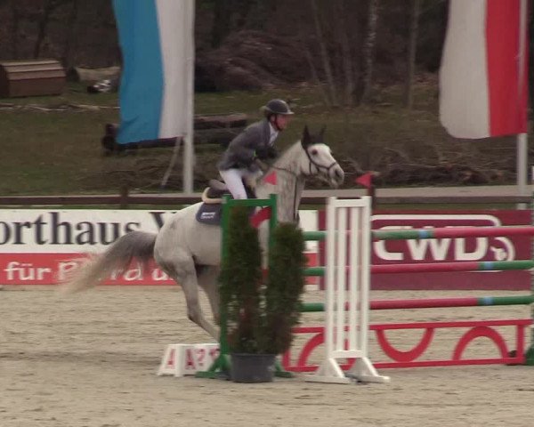 FEI Reitturnier Westergellersen (GER) 2021
