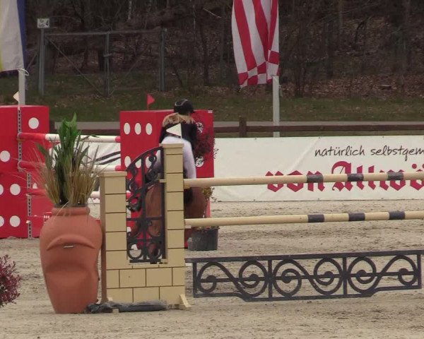 FEI Reitturnier Westergellersen (GER) 2021