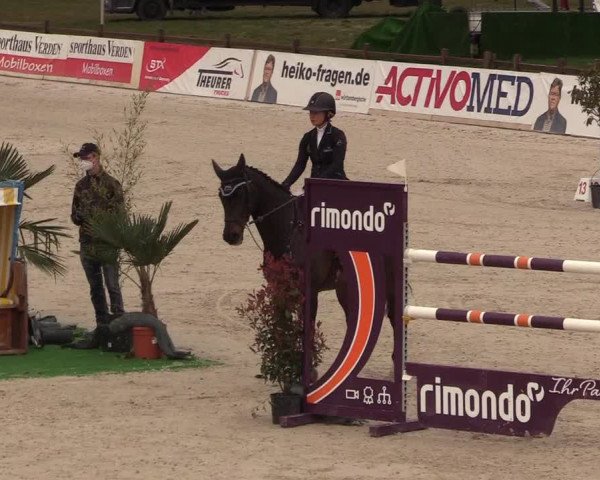 FEI Reitturnier Westergellersen (GER) 2021