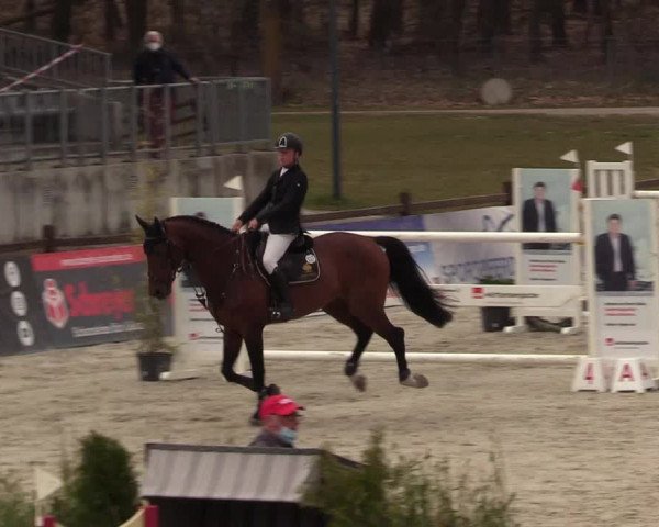 FEI Reitturnier Westergellersen (GER) 2021