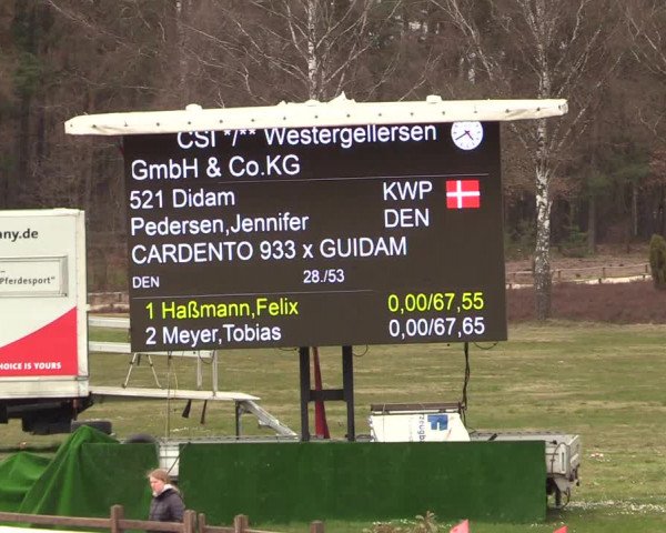 FEI Reitturnier Westergellersen (GER) 2021