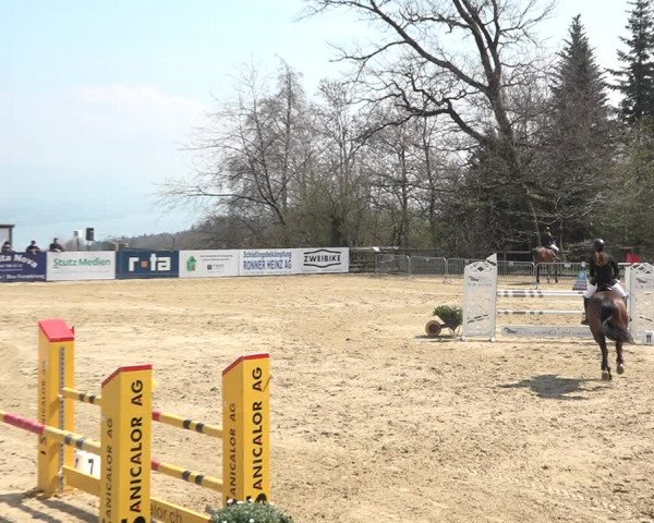 Reitturnier Wädenswil 2021
