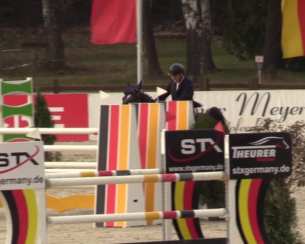 FEI Reitturnier Westergellersen (GER) 2021
