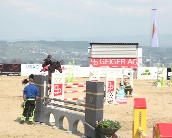 Reitturnier Wädenswil 2021