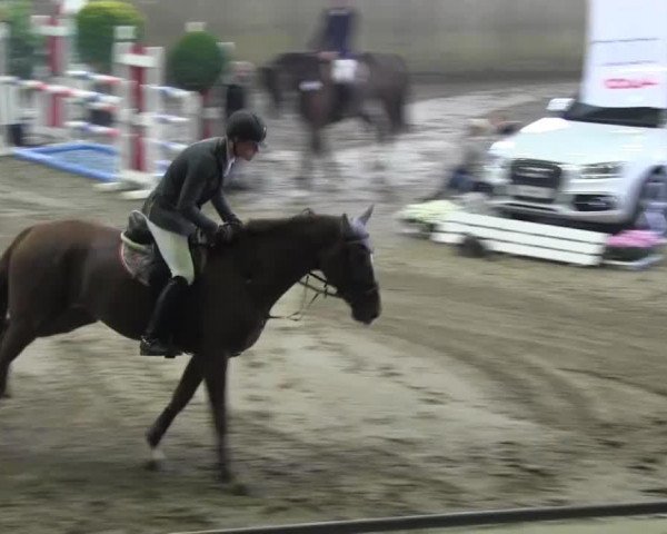 jumper Che Aluna (Westphalian, 2007, from Che Guevara 17)