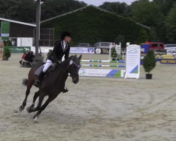 dressage horse Davy Jones 3 (Hanoverian, 2007, from Diamond Hit)