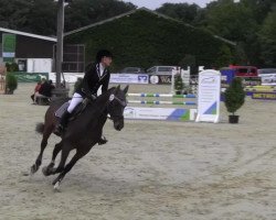 dressage horse Davy Jones 3 (Hanoverian, 2007, from Diamond Hit)