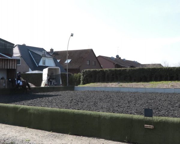Reitturnier Handorf 2021
