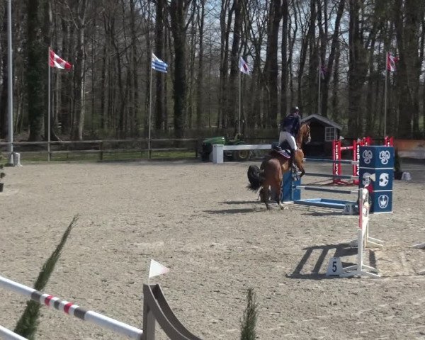 Reitturnier Klein Roscharden 2021