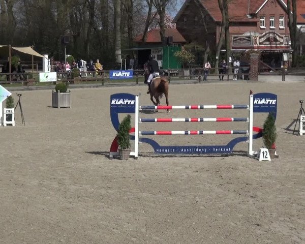 Reitturnier Klein Roscharden 2021