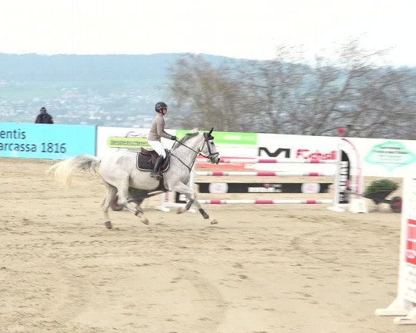 Reitturnier Wädenswil 2021