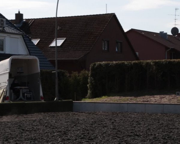 Reitturnier Handorf 2021