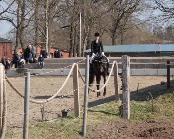 Reitturnier Handorf 2021