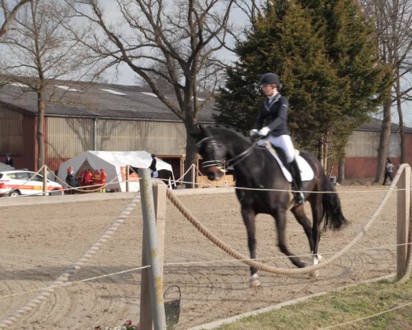Reitturnier Handorf 2021