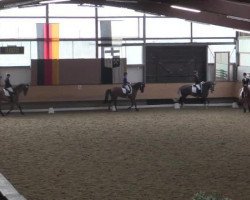 jumper Tus de Pomme (Belgian Warmblood, 1996, from Jus de Pomme)