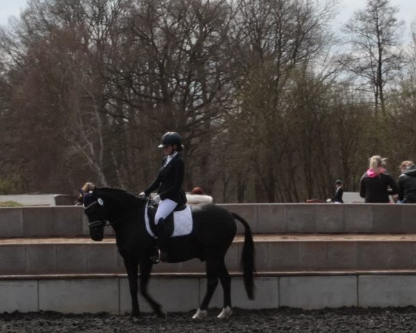 Reitturnier Handorf 2021