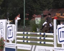 jumper Lesatho (Holsteiner, 2004, from Leonce)