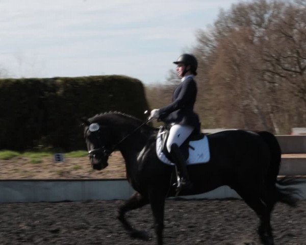 Reitturnier Handorf 2021