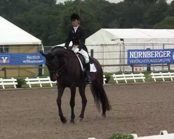 dressage horse Don Benito 38 (Hanoverian, 2001, from Donnerprinz)