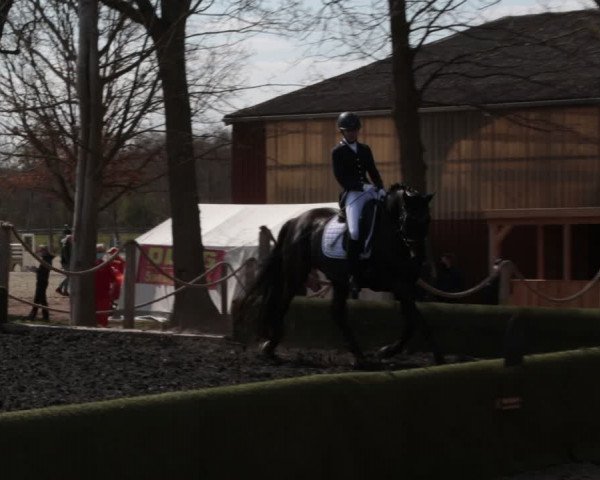 Reitturnier Handorf 2021