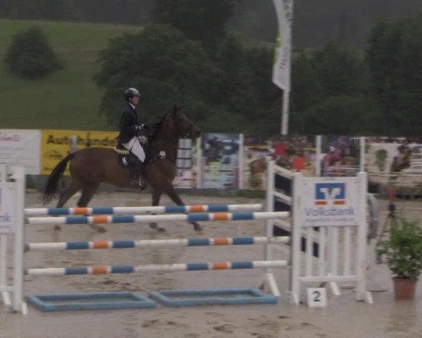 jumper Lady Ann (Oldenburg, 2002, from Laureatus)