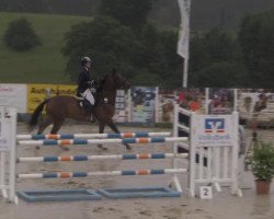 jumper Lady Ann (Oldenburg, 2002, from Laureatus)
