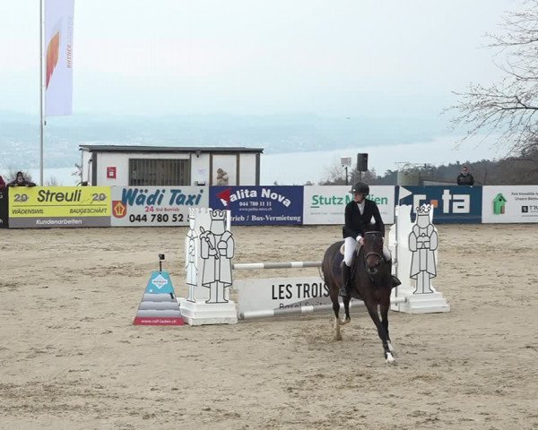Reitturnier Wädenswil 2021