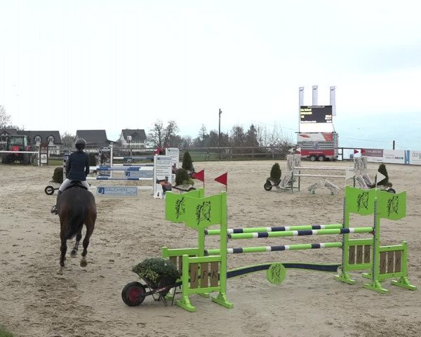 Reitturnier Wädenswil 2021
