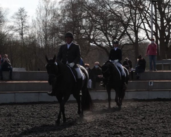 Reitturnier Handorf 2021