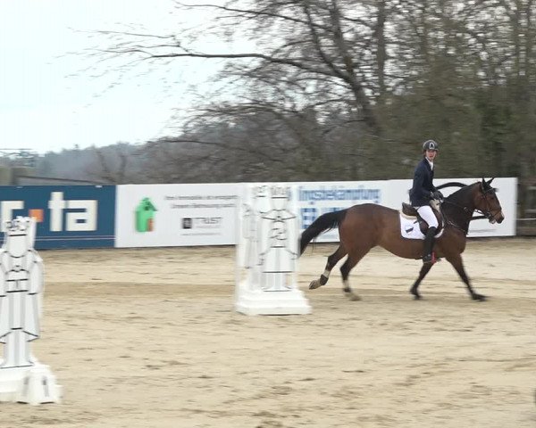 Reitturnier Wädenswil 2021