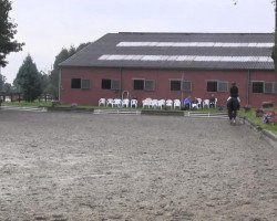 dressage horse Pecenio (Westphalian, 2007, from Pik Donnerhall)