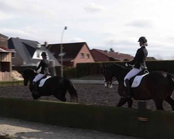 Reitturnier Handorf 2021