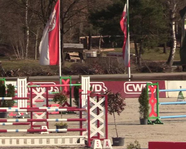 FEI Reitturnier Westergellersen (GER) 2021