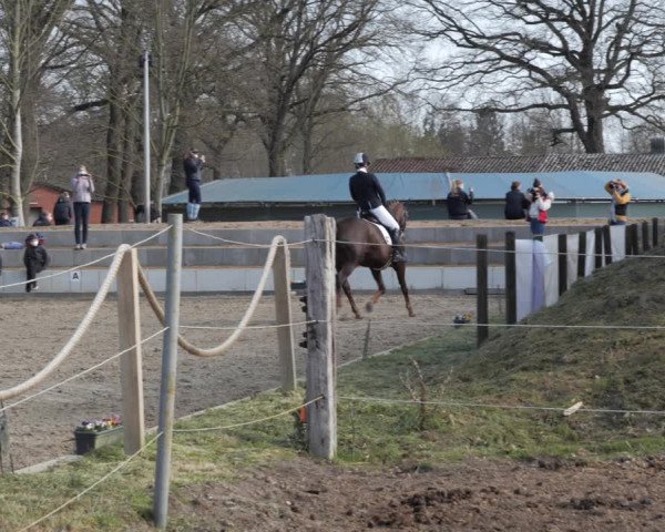 Reitturnier Handorf 2021