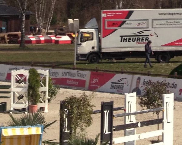 FEI Reitturnier Westergellersen (GER) 2021
