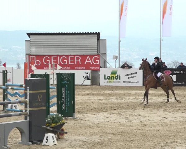 Reitturnier Wädenswil 2021
